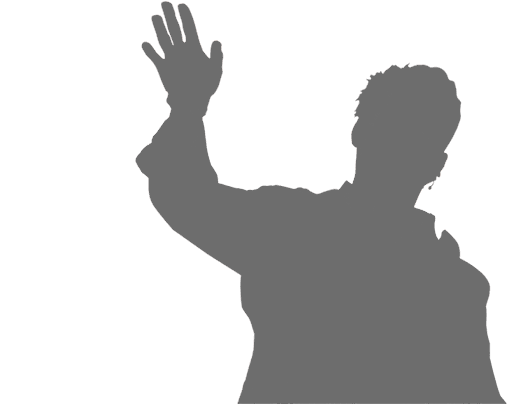 Banner Director